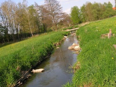 Bachlauf - Foto LPV AS e. V.